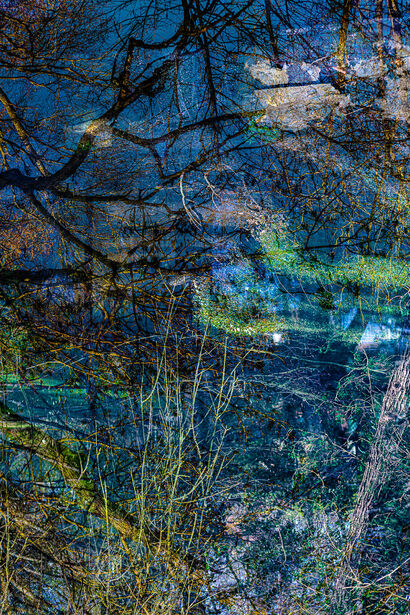 The extraordinary garden (1) / the path to the river - A Photographic Art Artwork by NEUFCOUR Jean-Charles