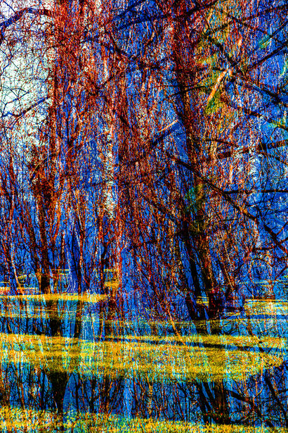 The extraordinary garden (5) / the red branches - A Photographic Art Artwork by NEUFCOUR Jean-Charles