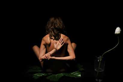 Donne come fiori 01 - a Photographic Art Artowrk by Davide Verri