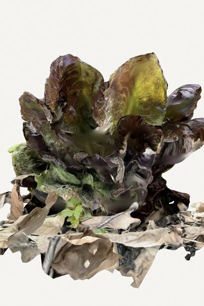 Salad - a Photographic Art Artowrk by Niels Tofahrn