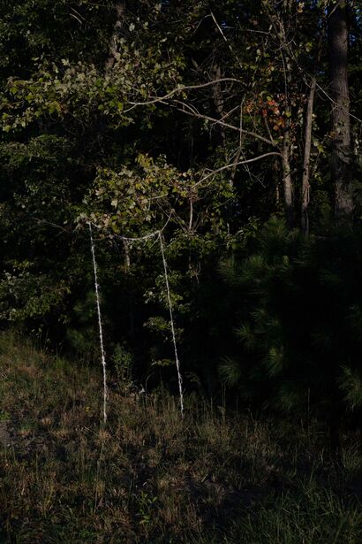 Doorway - a Sculpture & Installation Artowrk by Chen Gao