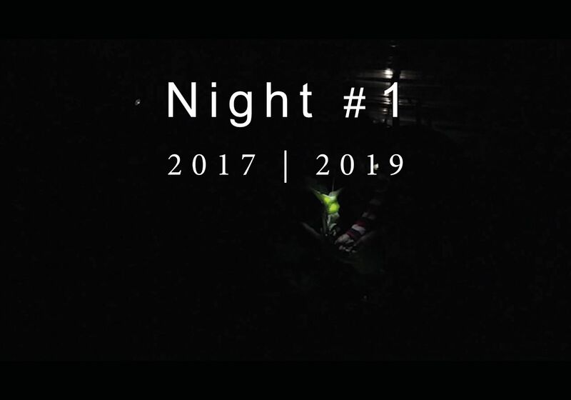 Night#1 - a Video Art by Elena Mocchetti