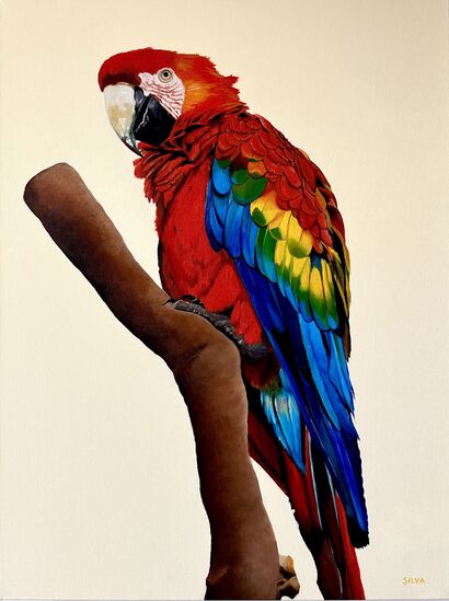 Papagaio - a Paint Artowrk by Christele Silva Art
