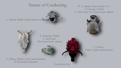 ACTING MATTER - nature of conducting - a Video Art Artowrk by Christina Hellmerich