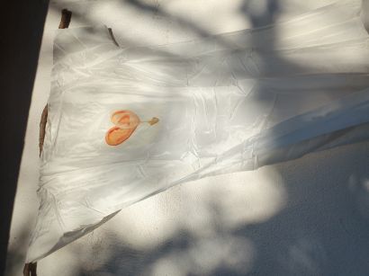 soul shirt - a Photographic Art Artwork by Christine Wagner