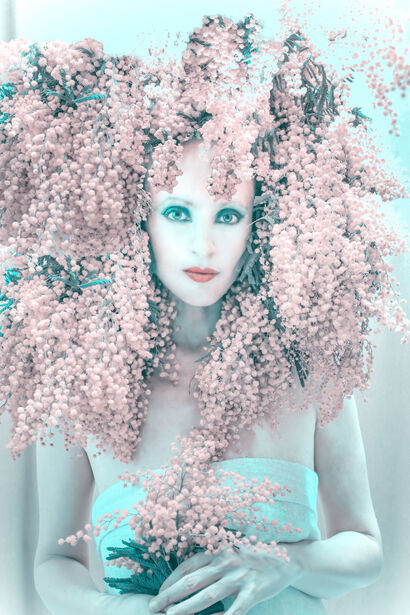 Mimosa - A Photographic Art Artwork by Carmela Rizzuti