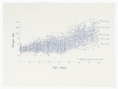 Holstein Heifers Growth Chart - a Paint Artowrk by Ruti Singer