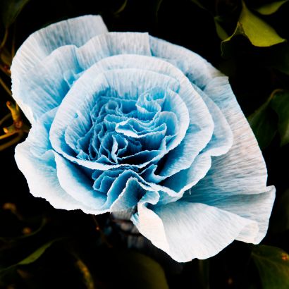INTENSITA\' - a Photographic Art Artowrk by photoflo82