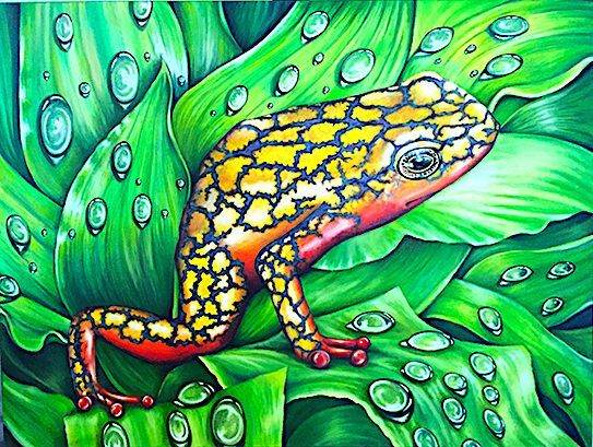 Poison Dart Frog - a Paint by andrew prior