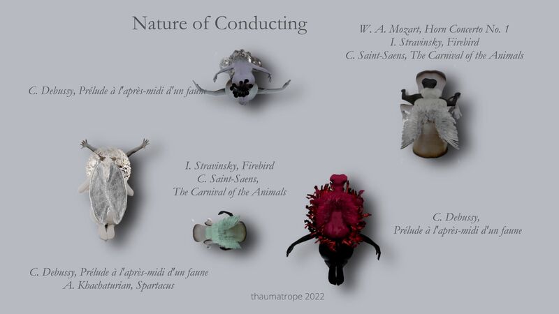 ACTING MATTER - nature of conducting - a Video Art by Christina Hellmerich