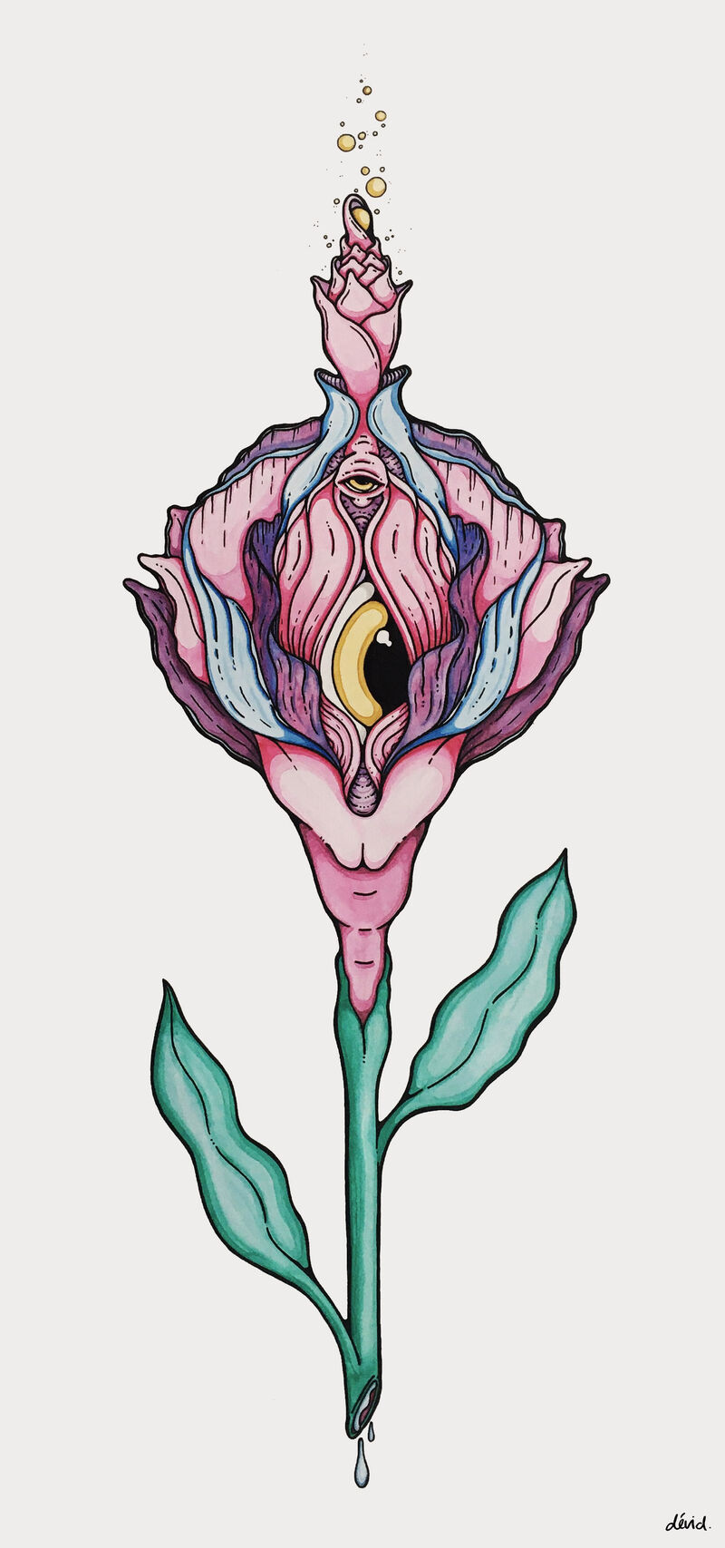 La Fleur - a Paint by dévid