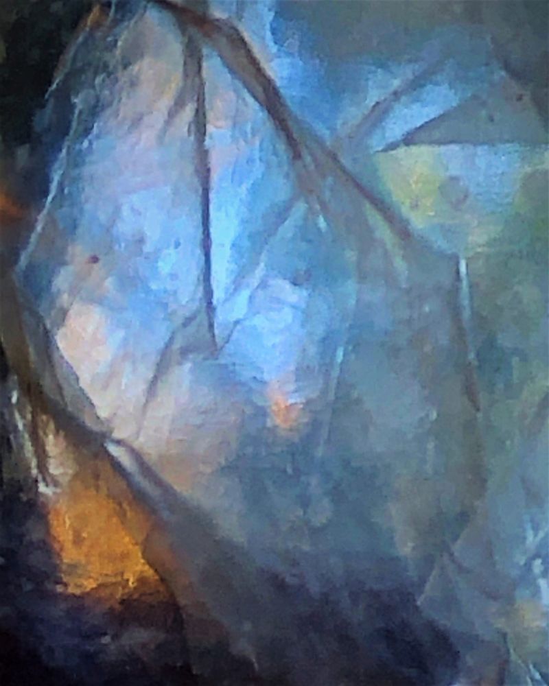 Connections in 5D - a Photographic Art by E Bee : LightExpressionist