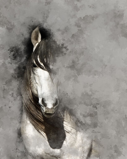 Glimpse of the Gray - a Photographic Art Artowrk by David W Schafer