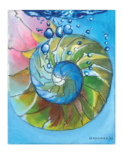 Nautilus - a Paintings Artwork by Donna Rodman