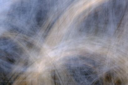 Light Winds - A Photographic Art Artwork by Luca Fiore