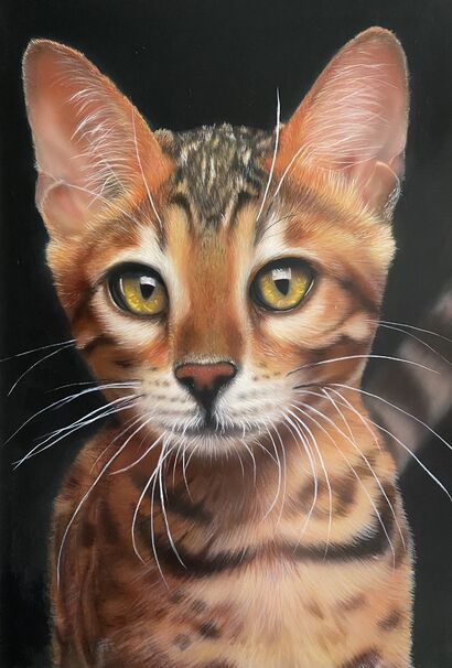 Realistic portrait of a pet  - A Paint Artwork by Dolgor.Art 