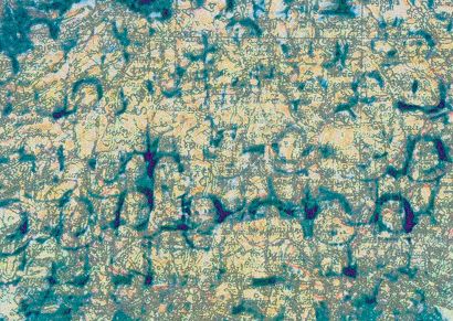 I.A. (intrecci aperti)      3 - a Photographic Art Artwork by Luca Maria Malaguti