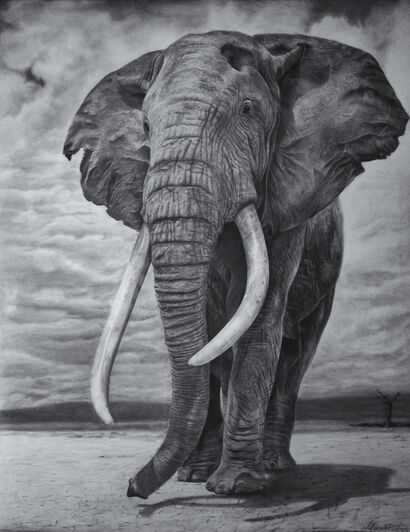 Elephant - A Paint Artwork by Manuela Lecis