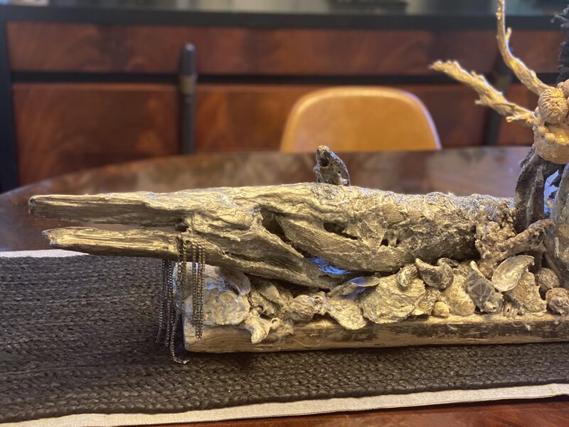 Barracuda - a Art Design by ADOWA - Keeper of the Beauty