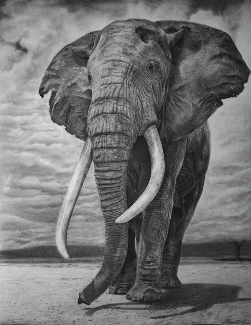Elephant - a Paint by Manuela Lecis