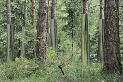 Reflective grove - a Land Art Artowrk by studio.sifr