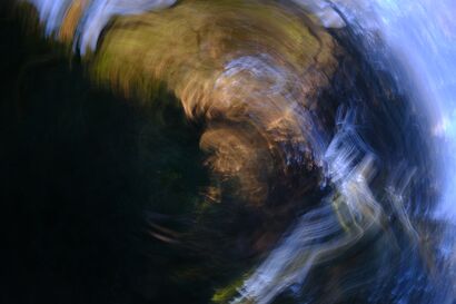 Lights in the Wood - a Photographic Art Artowrk by Luca Fiore
