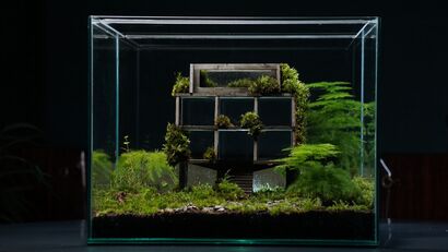 Habitat n.1 - a Sculpture & Installation Artowrk by Mondobruto