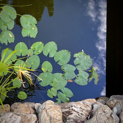 Summer pond - a Photographic Art Artowrk by Du Runying