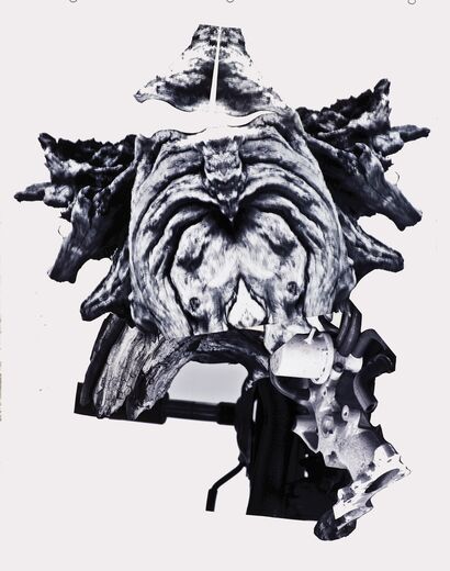 Integroids #10 - a Paint Artowrk by Junko Chodos