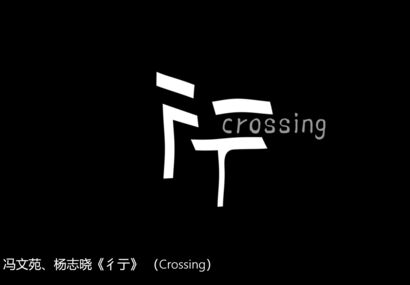 Crossing - a Video Art Artowrk by Wenyuan Feng