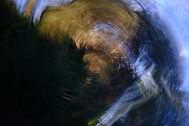 Lights in the Wood - a Photographic Art by Luca Fiore