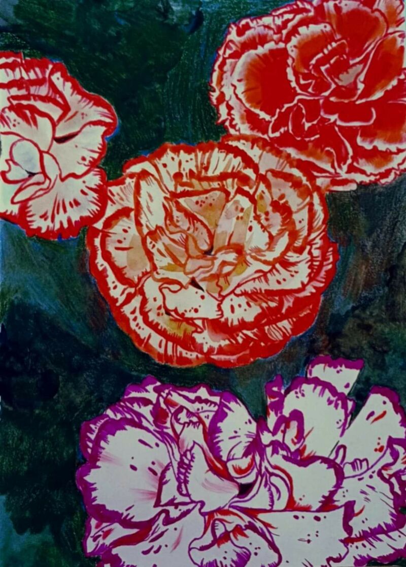 Garofani - a Paintings by Robbie