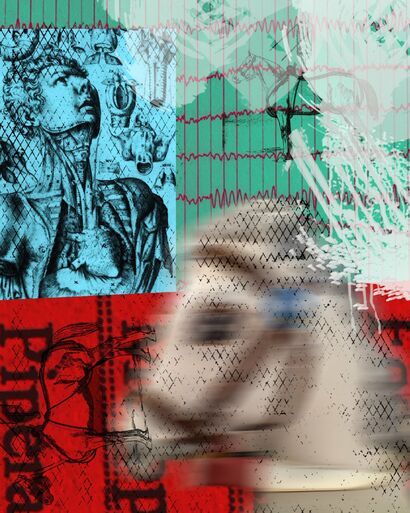 Loose Horse 08 - a Photographic Art Artowrk by JW Andrew