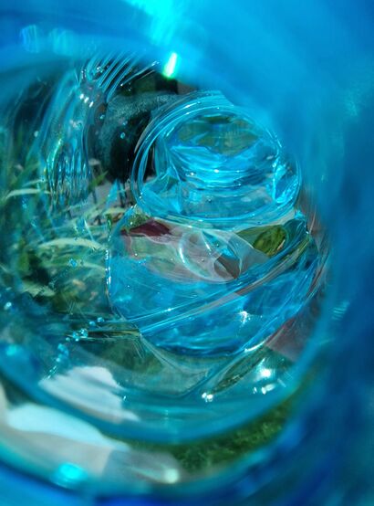 Il cerchio dell\'acqua  - a Photographic Art Artowrk by Sabrina Altieri
