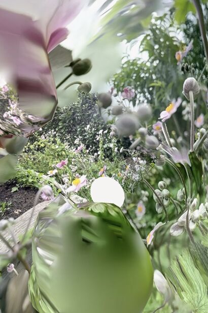 The Hole In The Flower Bed - a Photographic Art Artowrk by Niels Tofahrn