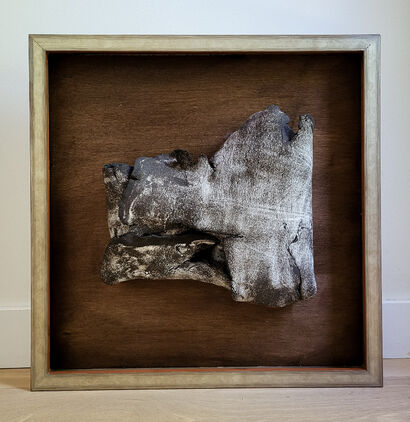 Bark I - a Sculpture & Installation Artowrk by Vo Van Audrey