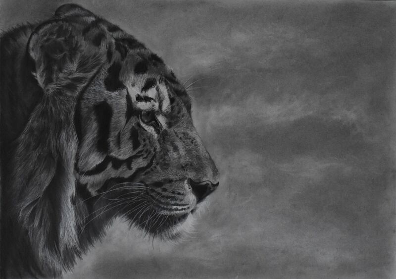 Tiger - a Paint by Manuela Lecis