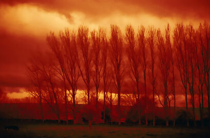 Winter Dusk - a Photographic Art Artowrk by corrie ancone