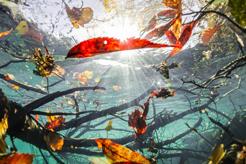 The autumn bottom of a lake. - a Photographic Art by Kenjiro Asaki