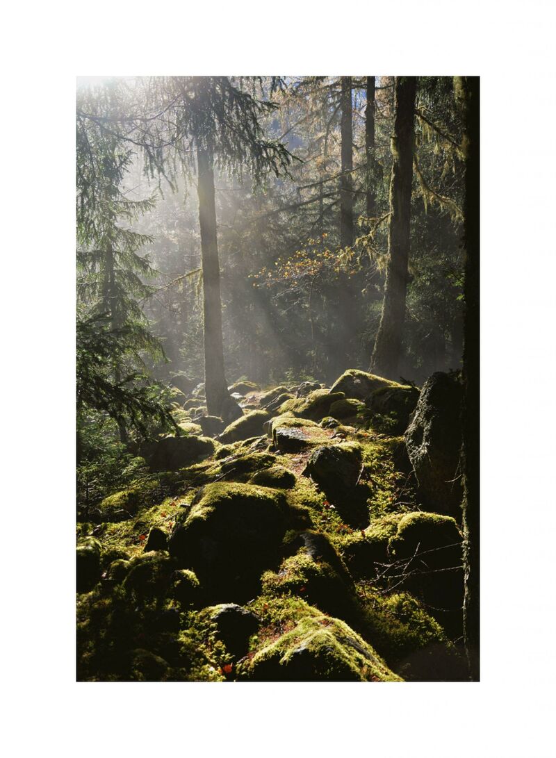 Morning in Chamonix  - a Photographic Art by Eienne Vacher