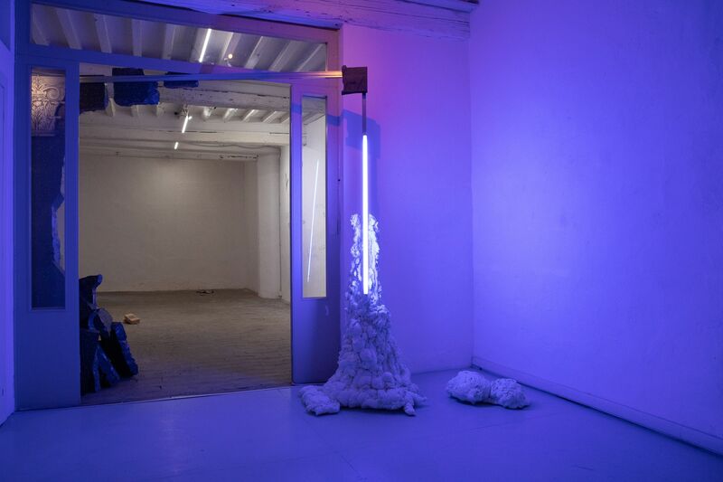 Ianua + Mostro - a Sculpture & Installation by Livia Rib