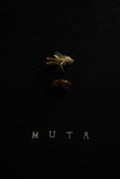 Muta - A Photographic Art Artwork by Nouan Hors