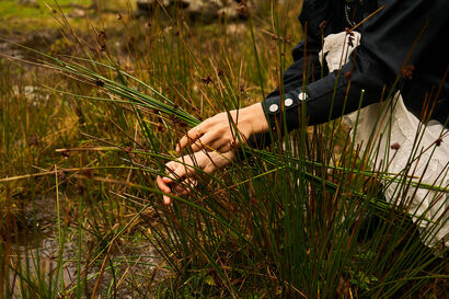 Alice in cerca di giunchi #1 - a Photographic Art Artowrk by Viola Nedrotti