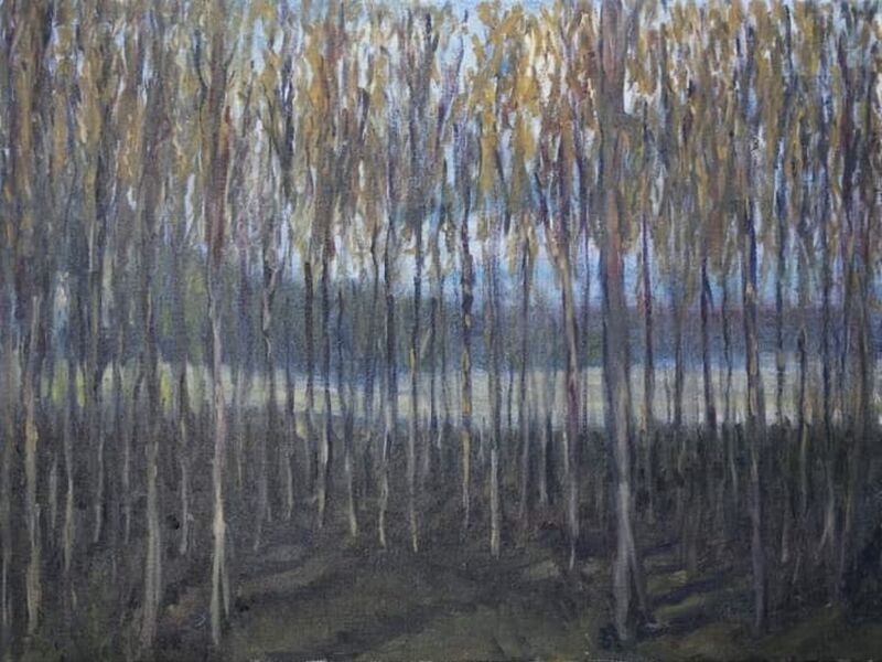 Poplars trees - a Paint by Bogdan Bryl