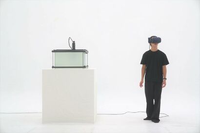 The PetriDish: Emergence - a Sculpture & Installation Artowrk by Gordon