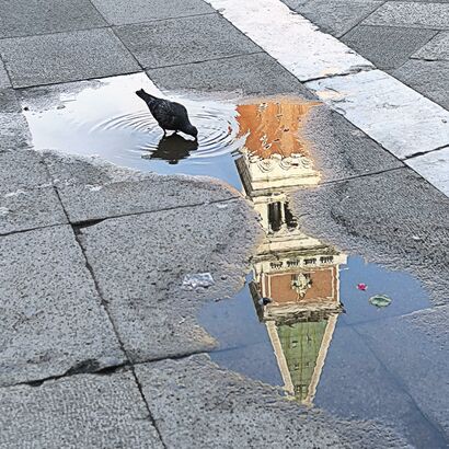 Indiferente - a Photographic Art Artowrk by Eduardo Santise