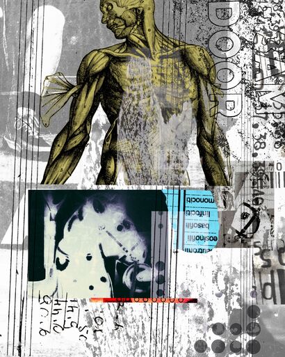 Loose Horse 027 - a Photographic Art Artowrk by JW Andrew