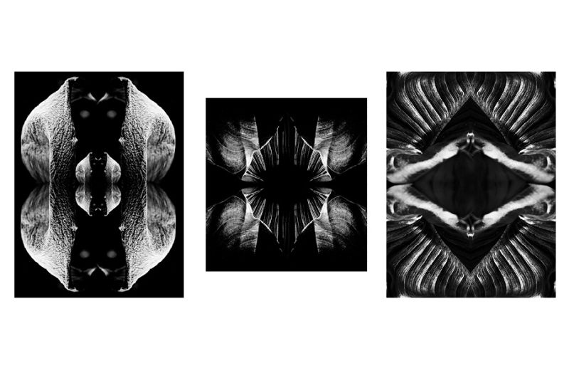 Absolute Oxygen - Trittico - 42x56 cm. foto laterali - 40x43 cm. foto centrale - a Photographic Art by Sara Franci Visual Artist