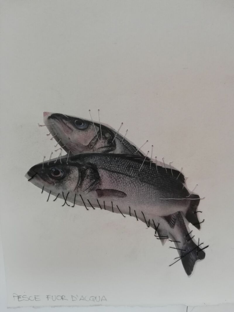 Pesce fuor d'acqua - a Paint by Gloria Franzin