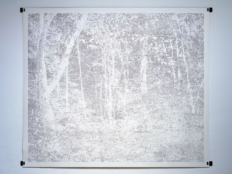 Forest #3 - a Paint by MASSA